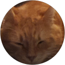 v B. profile picture