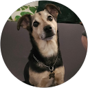Marion profile picture